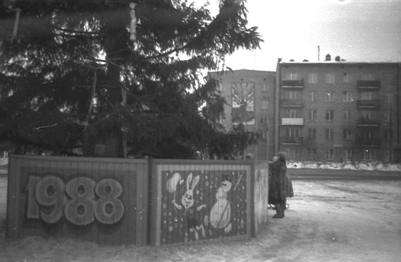 Новогодняя ёлка