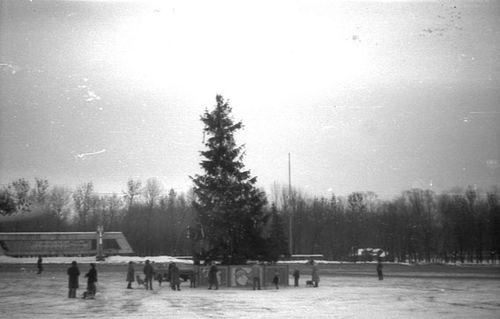 Новогодняя ёлка